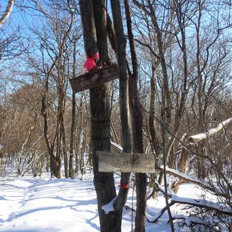 古峰ヶ原のピークは登山コースからちょっと外れた所にあります
最初うっかり過ぎてしまい、慌てて戻ってパシャリ😁