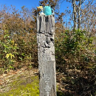 駒ヶ岳登頂1067m👍
展望はありません。
