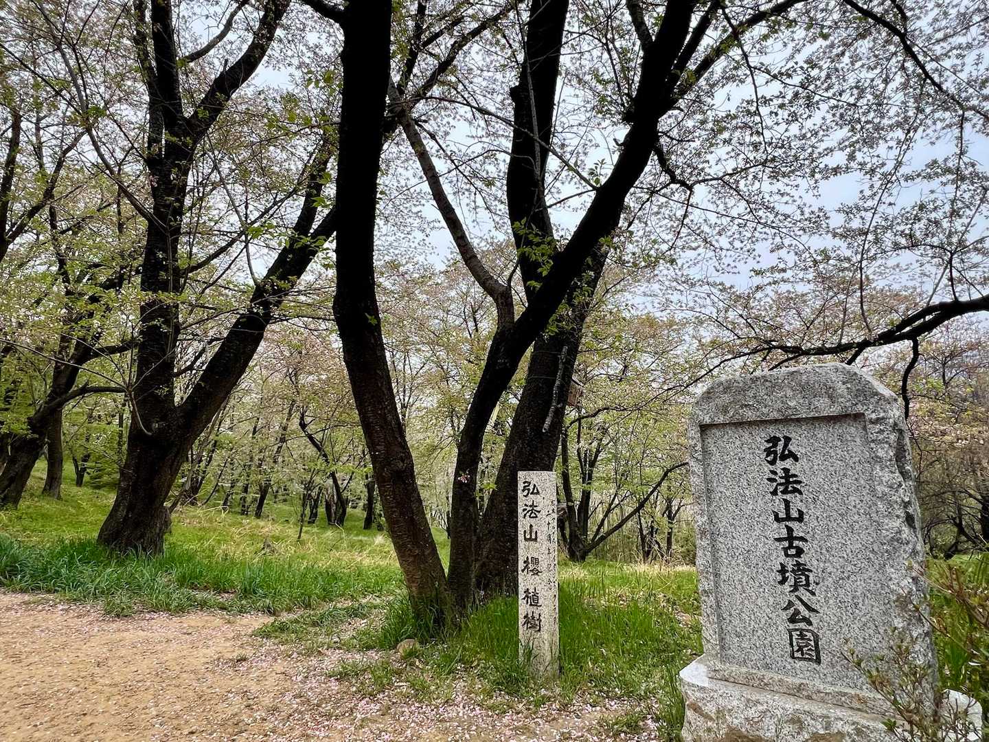 中山-弘法山 往復コースの写真
