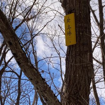 北土場到着🥳

178m

こちらも三角点は雪の中