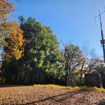 えー。七尾山は、普通に通り過ぎちゃう全然 山頂らしくないところ…😑
ここで U ターン。
