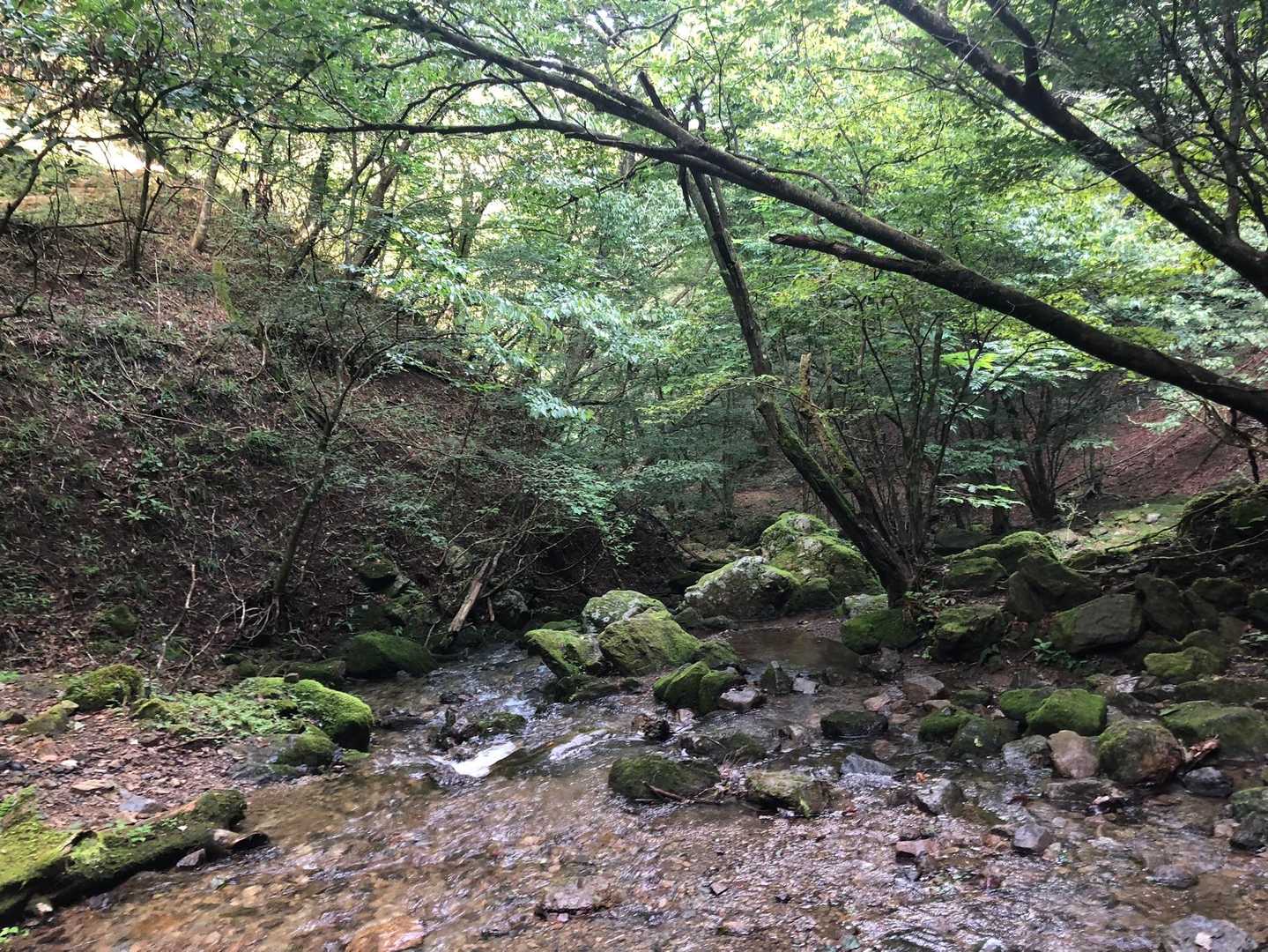 涼しい〜❣️