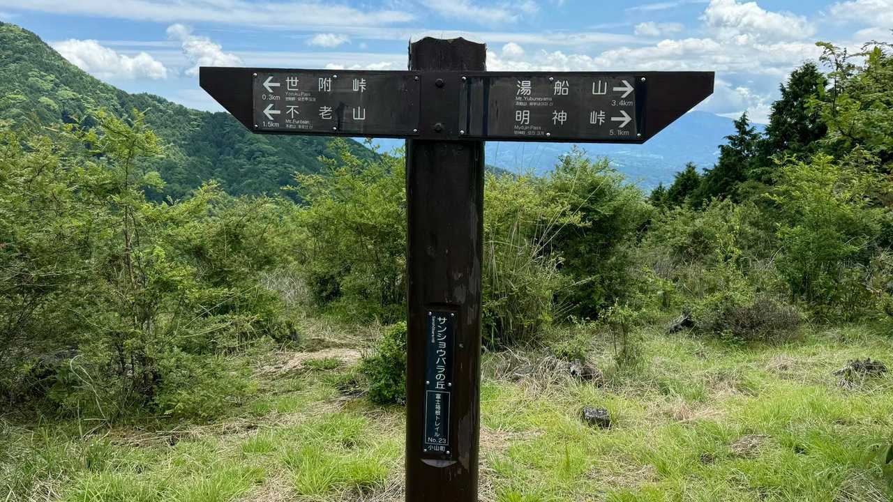 No.23 サンショウバラの丘