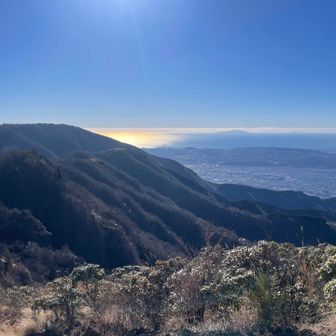 太陽光反射した色が、良いアクセント✨