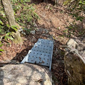 莇ヶ岳で一休みして下山する
ここからは登りと違うルートへ行く
飽きてだらけないように工夫