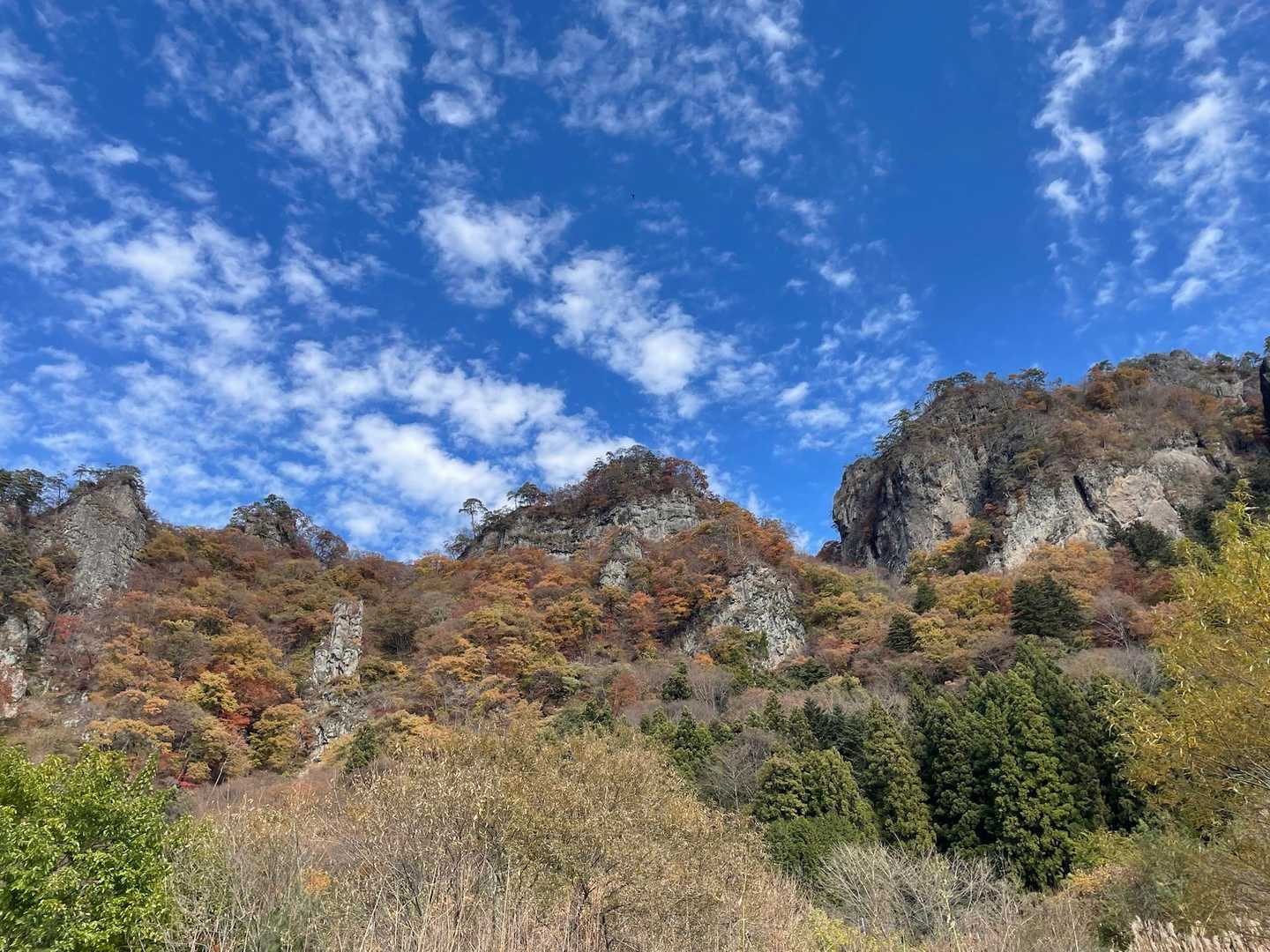 今日は空が最高💗