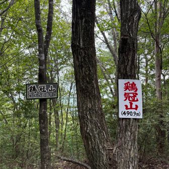 登頂❗️