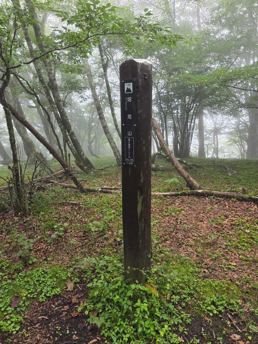 畑尾山到着
