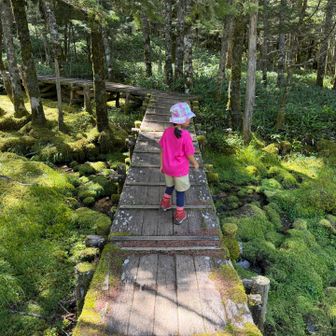 大河原湿原にもどってきた。苔がたくさんでかわいい道。
