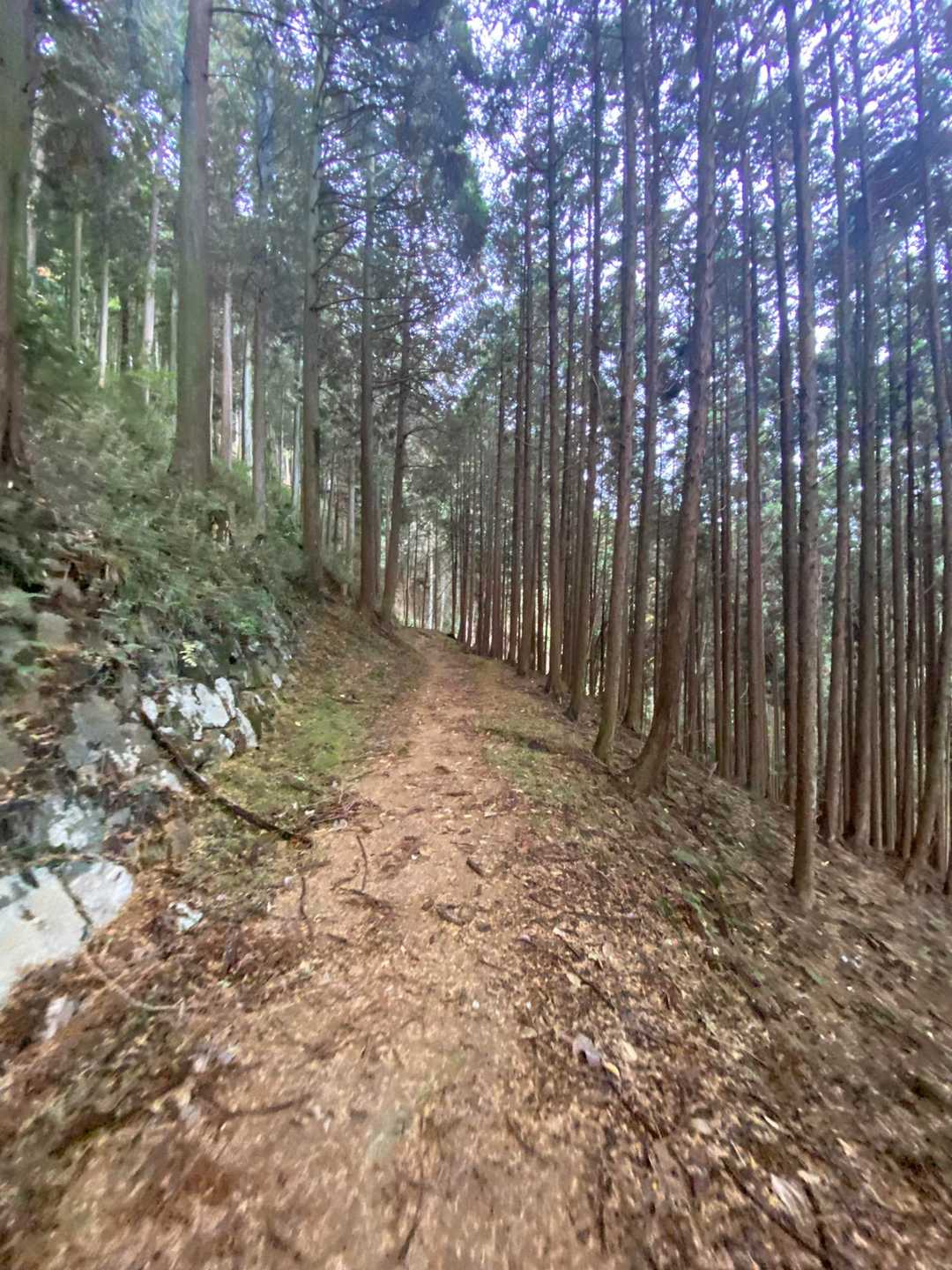 嫁の機嫌を損ねる前に急がねば👹👹👹