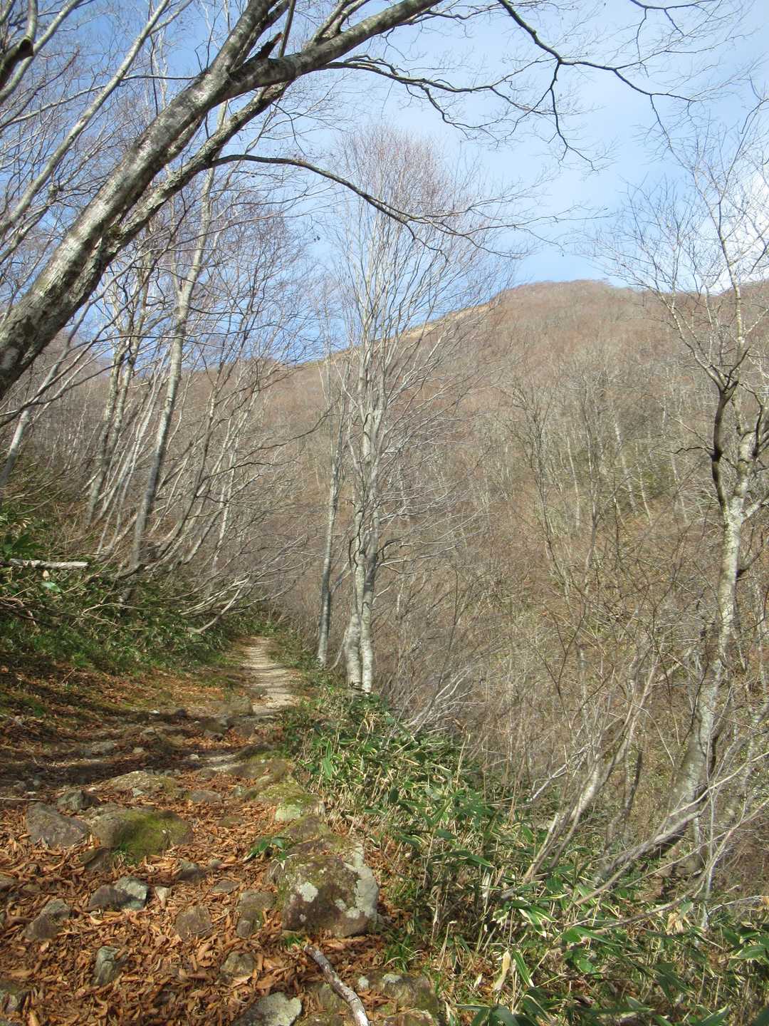 登りだし