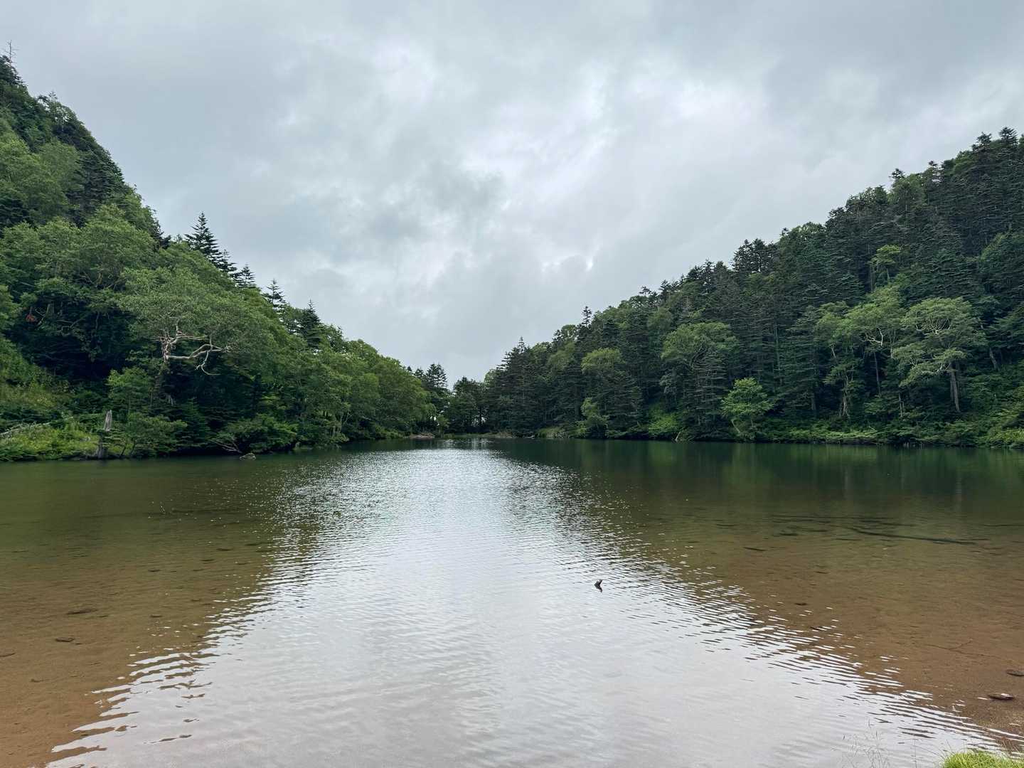 弥陀ヶ池