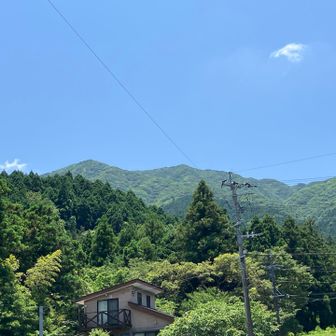 振り返ると雷山が見えた。
涼しい清賀の滝、珍しい花、展望台からの大絶景、満足の山登りでした