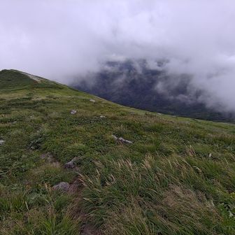羆の気配は感じられなかった