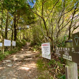 いちごシェイク飲んで、しっかり水分補給と両前腿マッサージ、ストレッチして再び土小屋ルートで山頂を目指すも、前腿は相変わらず蛍の光が流れてる…