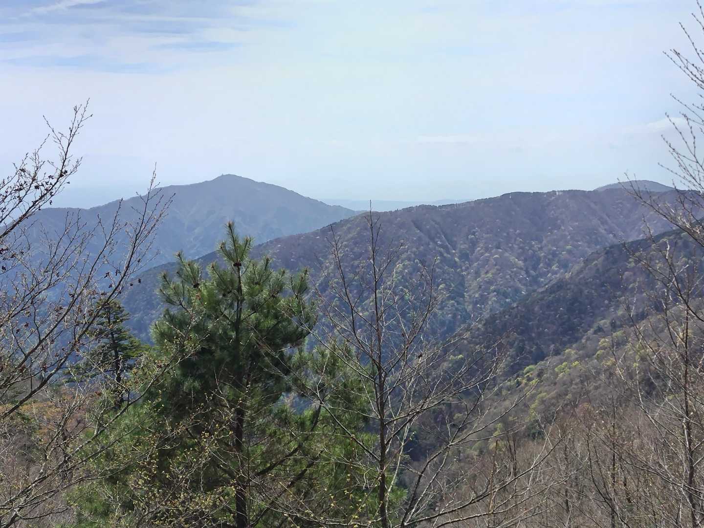 大山も見えてきた。