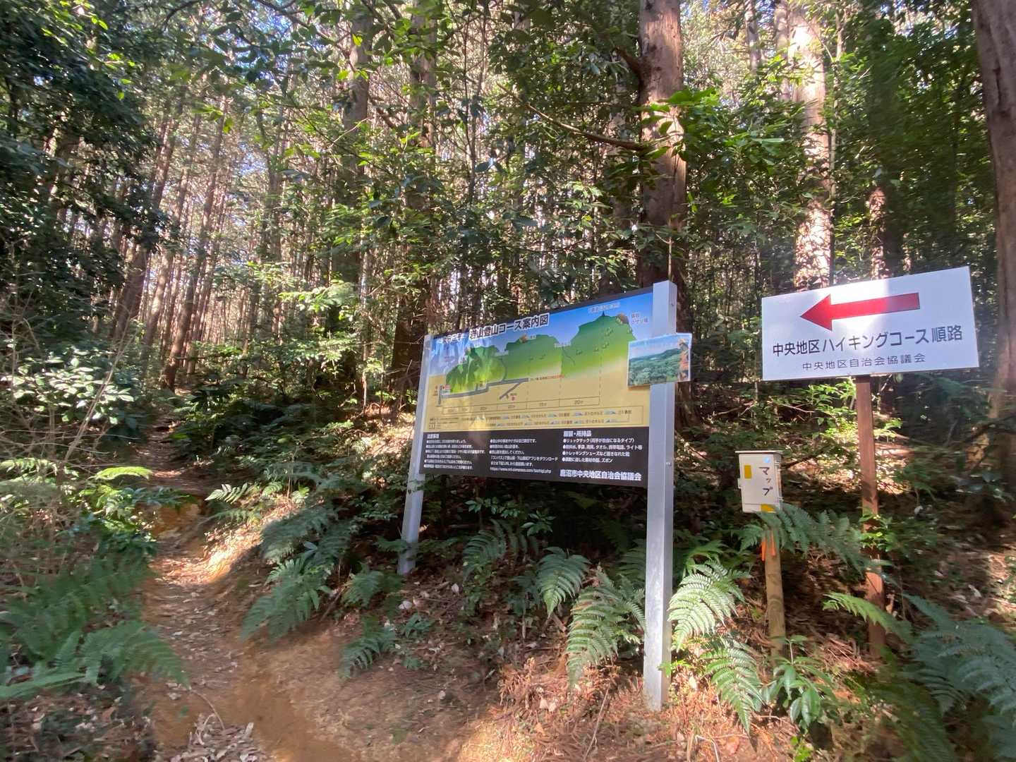 ここから登山道🥾