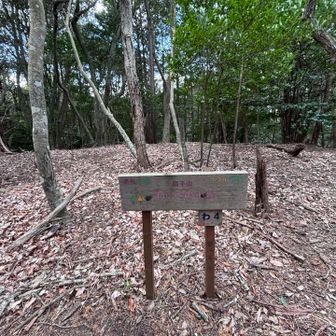 陽子山
※YAMAP未登録