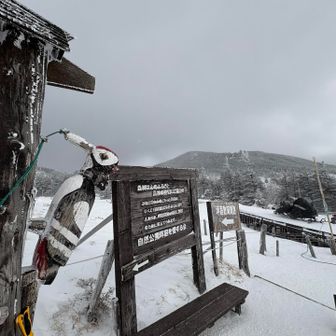 坪庭に戻ってきた