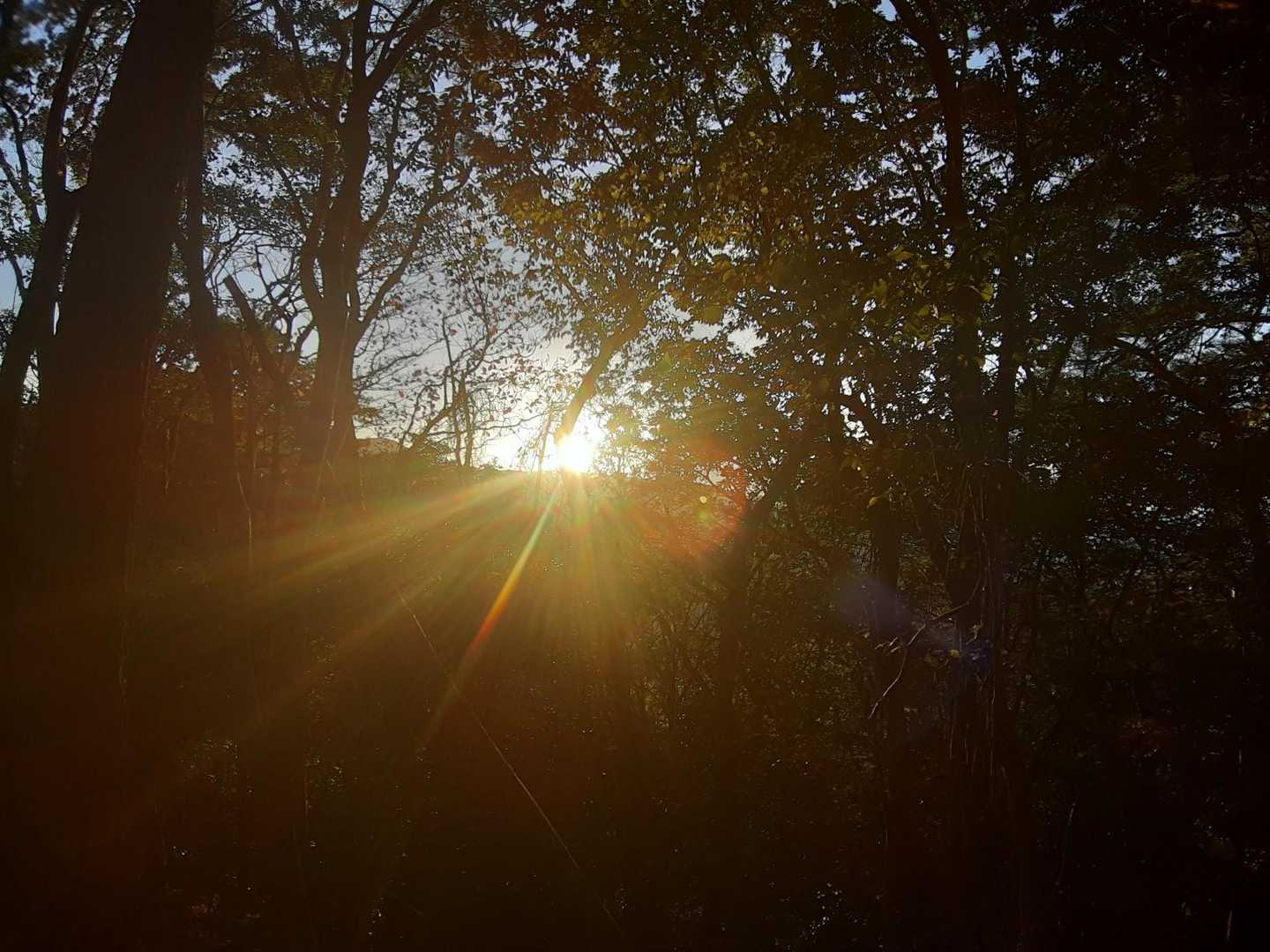キター！！！