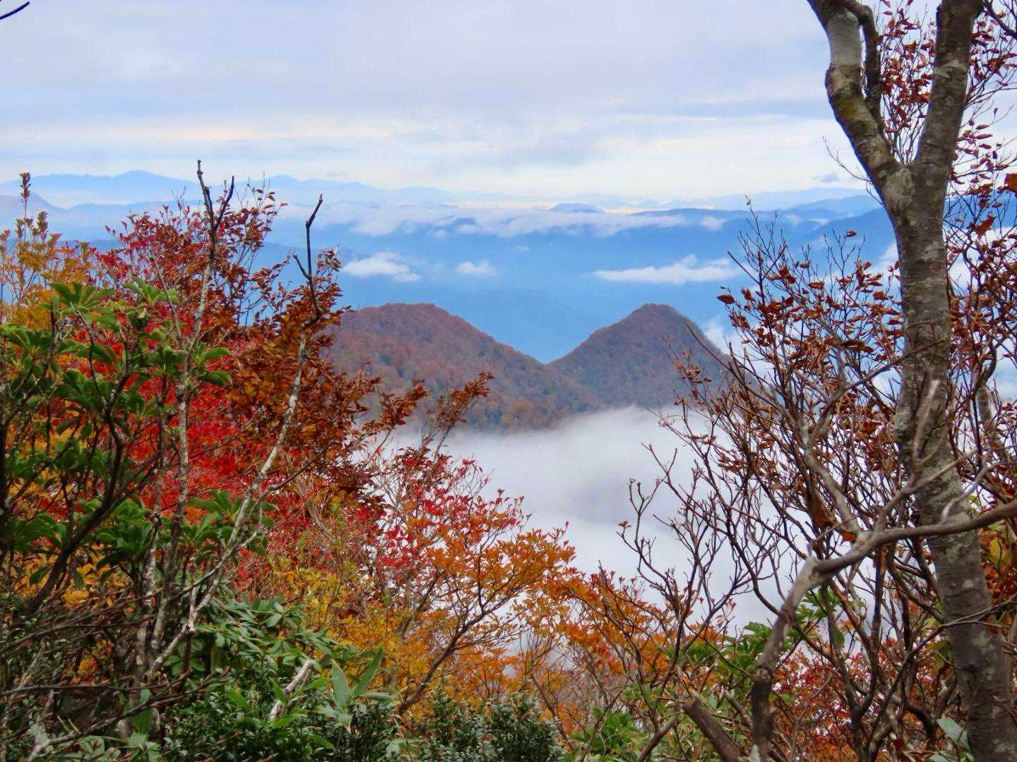 素晴らしい景色✨最高