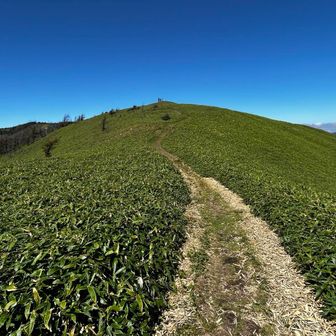 心地よい秋の風と眺望を楽しみながら稜線を戻ります