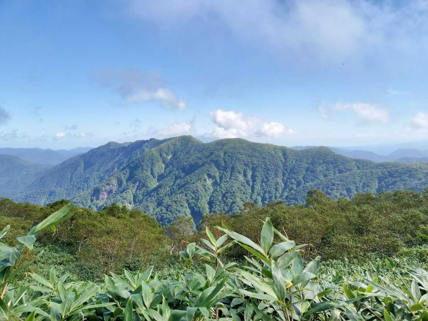 白神岳 蟶山（まてやま）コースの写真