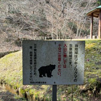 クマの形跡はありませんでした、