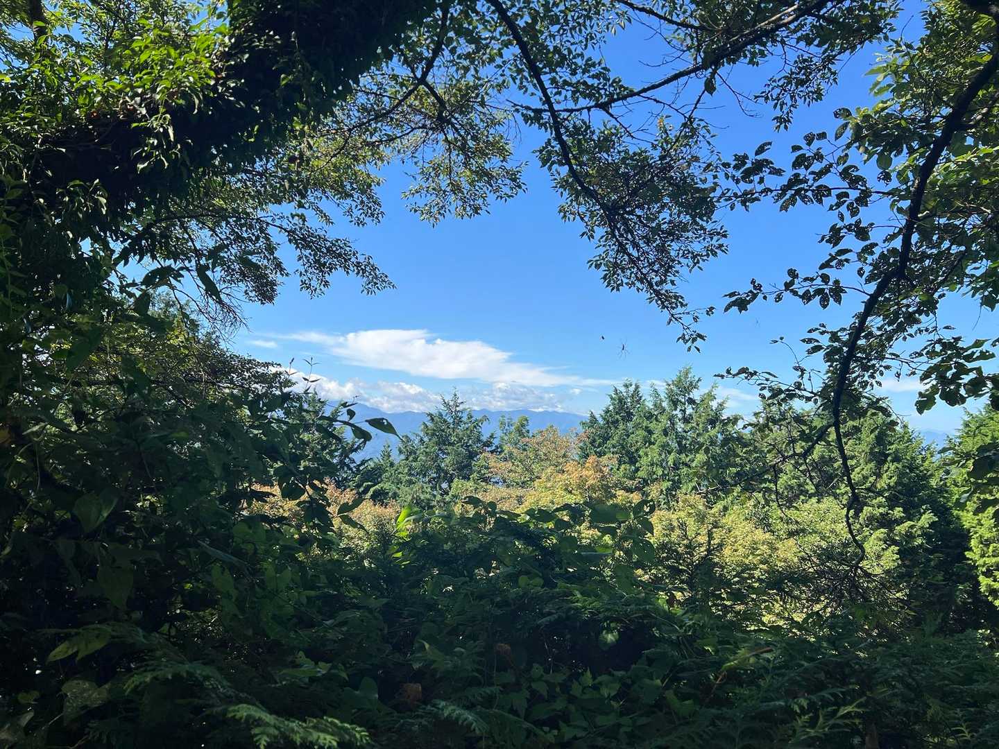雲がなかったら富士山が見えるのかな？