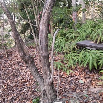 神楽山の山頂プレート。
