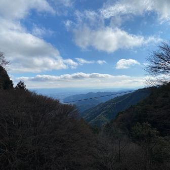 月輪寺から京都の下界がよく見えました