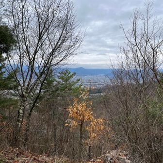 展望はイマイチ...