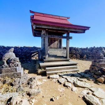 このお賽銭投入口に御朱印代も納めます