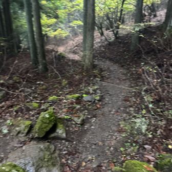 長いかったガースーエリア抜けると安心します。