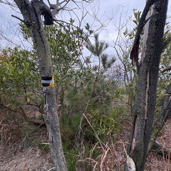 ここもテープがある