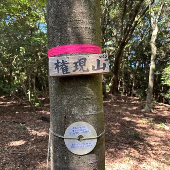 権現山登頂
眺望なし