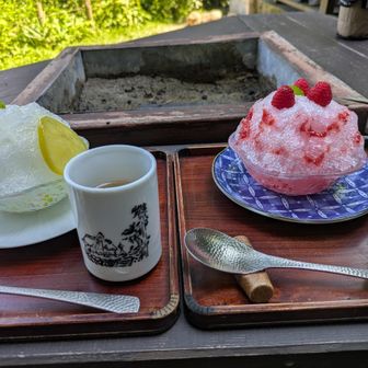 父母、登る前からもうかき氷の事を考えていたらしく😅すぐに休憩🍧