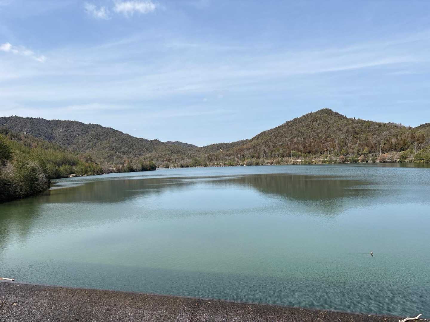 気持ち良い天気でしたが暑かったです