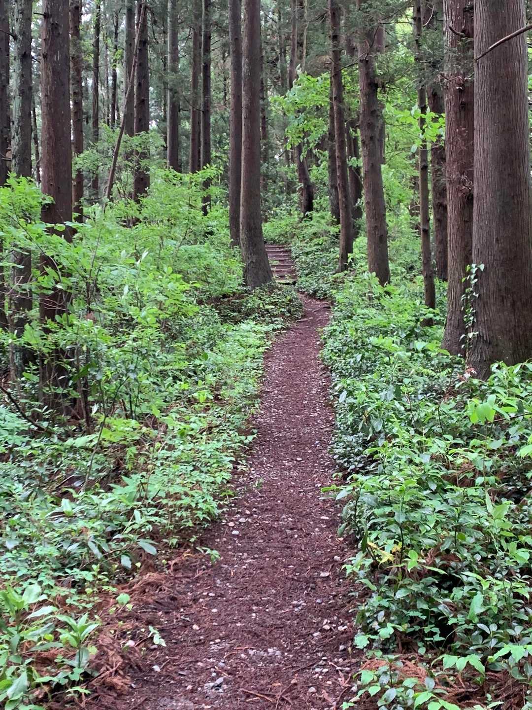静かです
