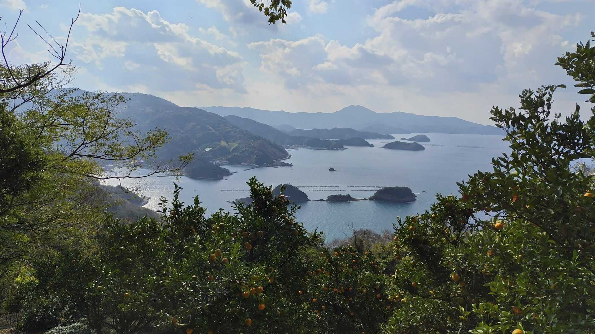 登山道からはこれが限界