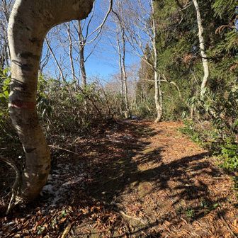 10分ほど先にある
ヘリポートに行って
昼ごはんと
しますか☺️
