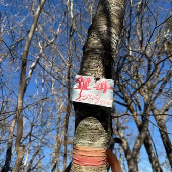 鍵掛
小さな標識で見つけにくいかも😆