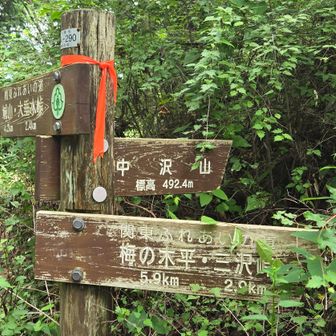 入沢山天空レストラン過ぎた。。