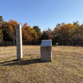 丹羽長秀ふむふむ🤨（知らない）