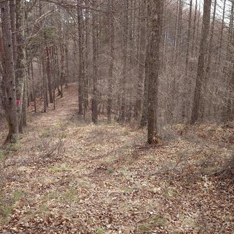 下りはまた別の尾根で下ります✌️