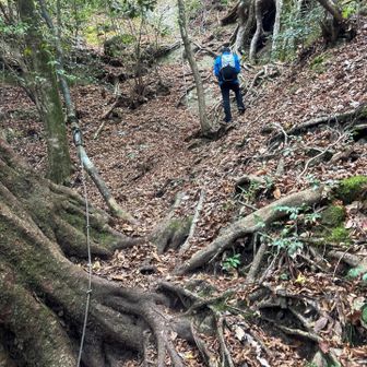 登ったり　下ったり　ロープ🪢　鎖⛓️もありで
中々のルート
前回は　このルートで登ってて　
「よく　こんなルート夏に☀️登ったなぁ。。」
と、ボケてます😝