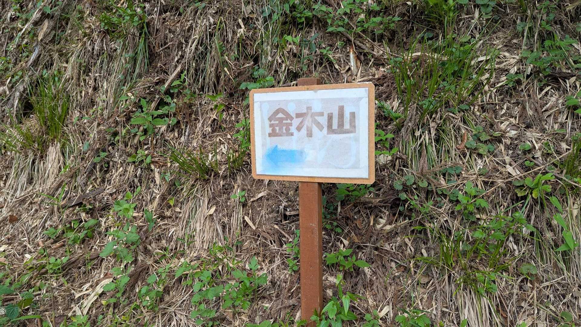 金木山 往復コースの写真