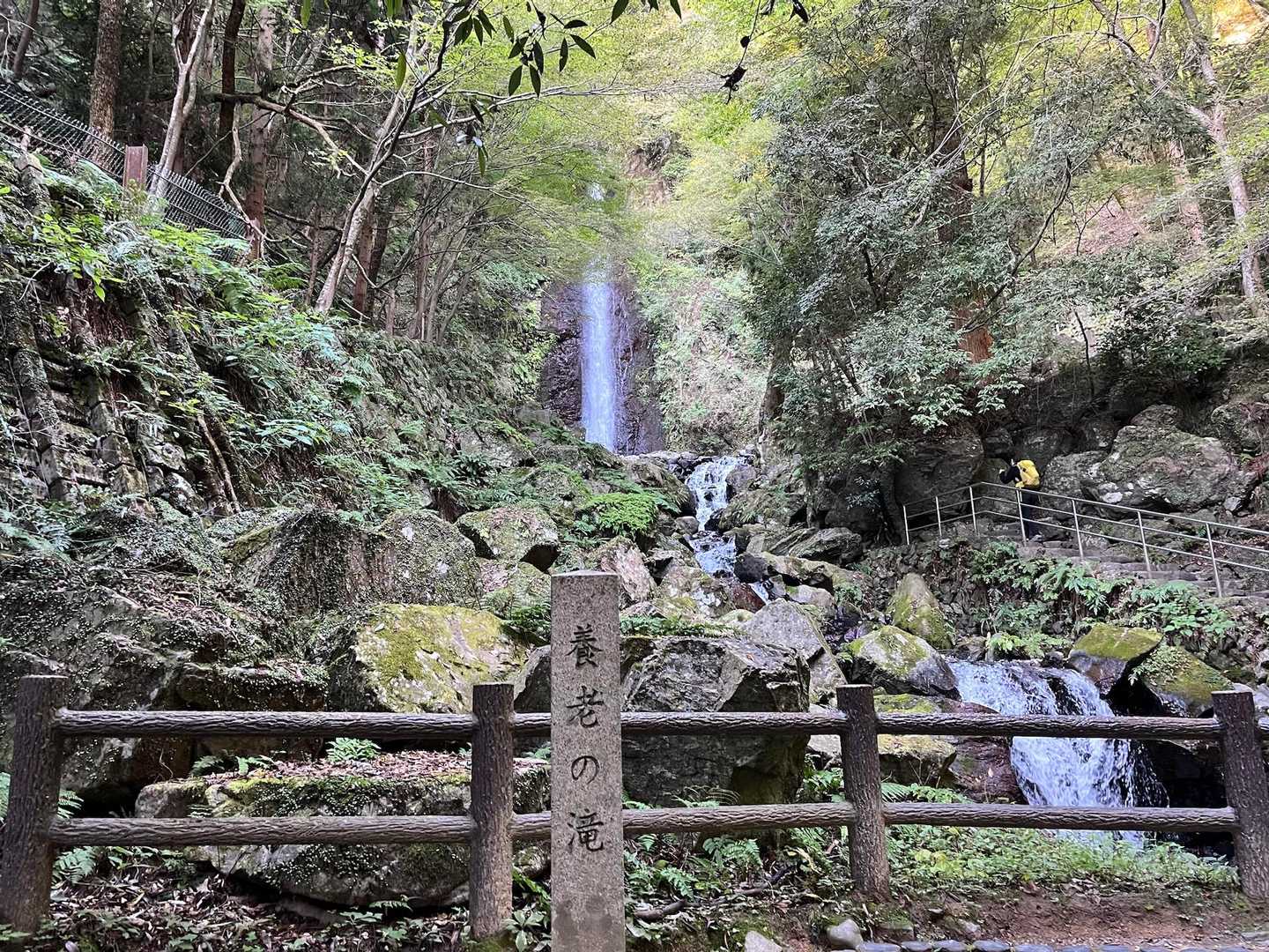 養老の滝です。