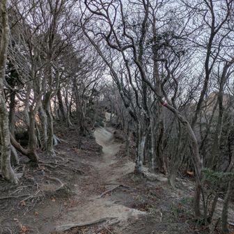 なんとものの5分程度(当社調べ)で細い尾根に出てしまうw