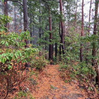 宮前秋葉山山頂　見落としてた